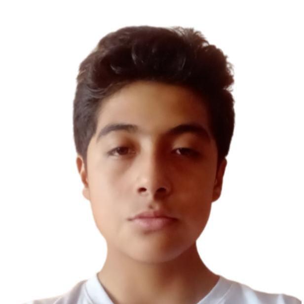 User Image