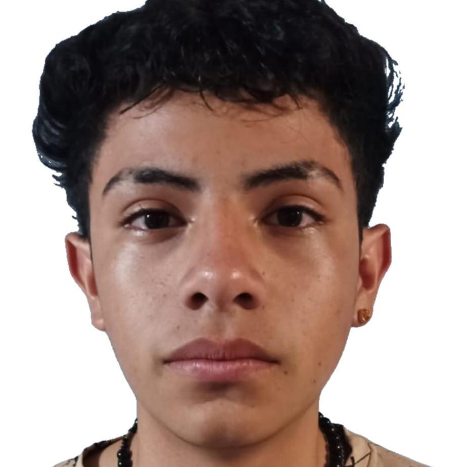User Image
