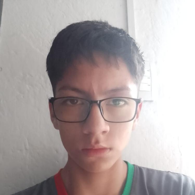 User Image